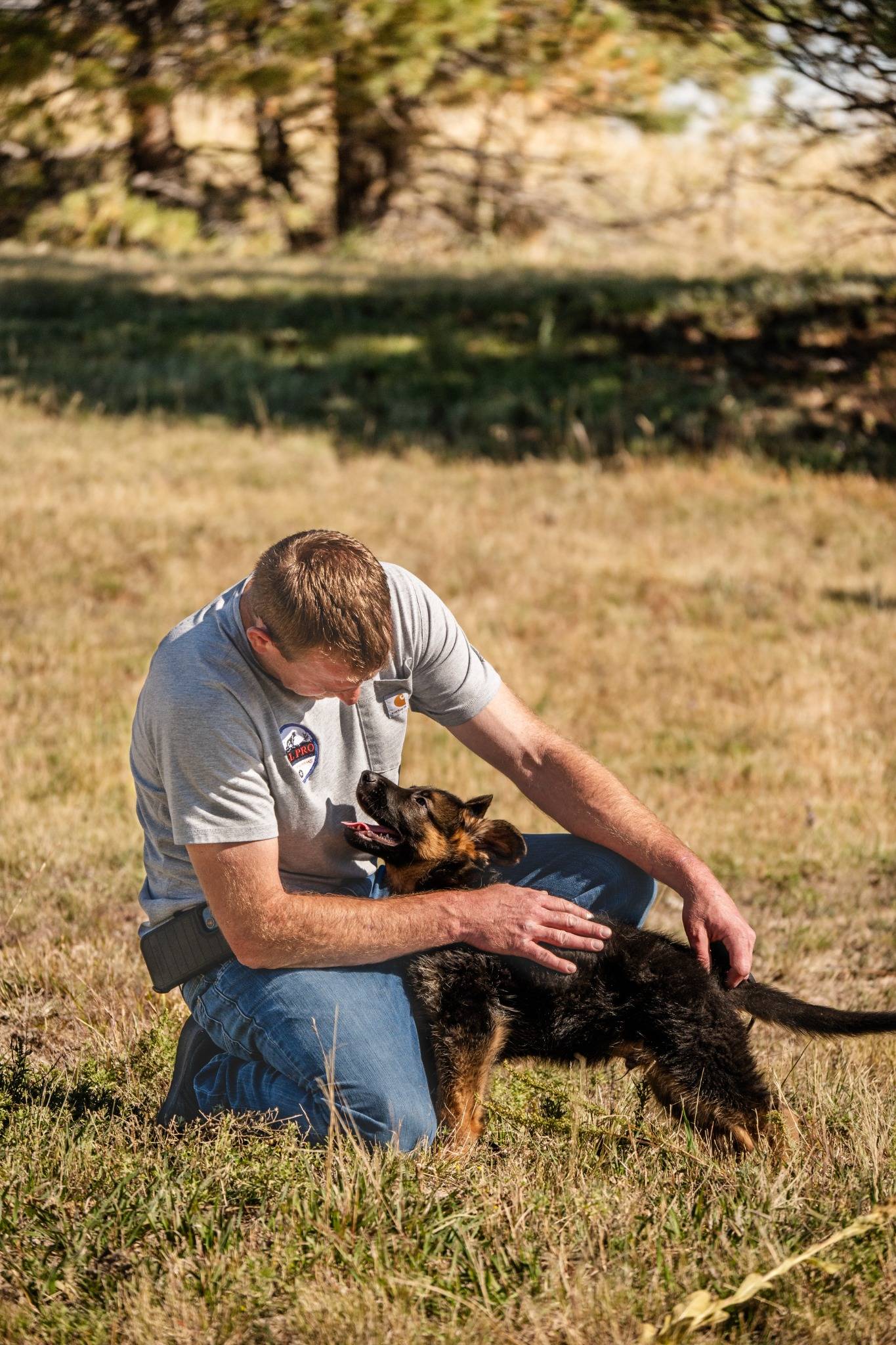 Dog classes